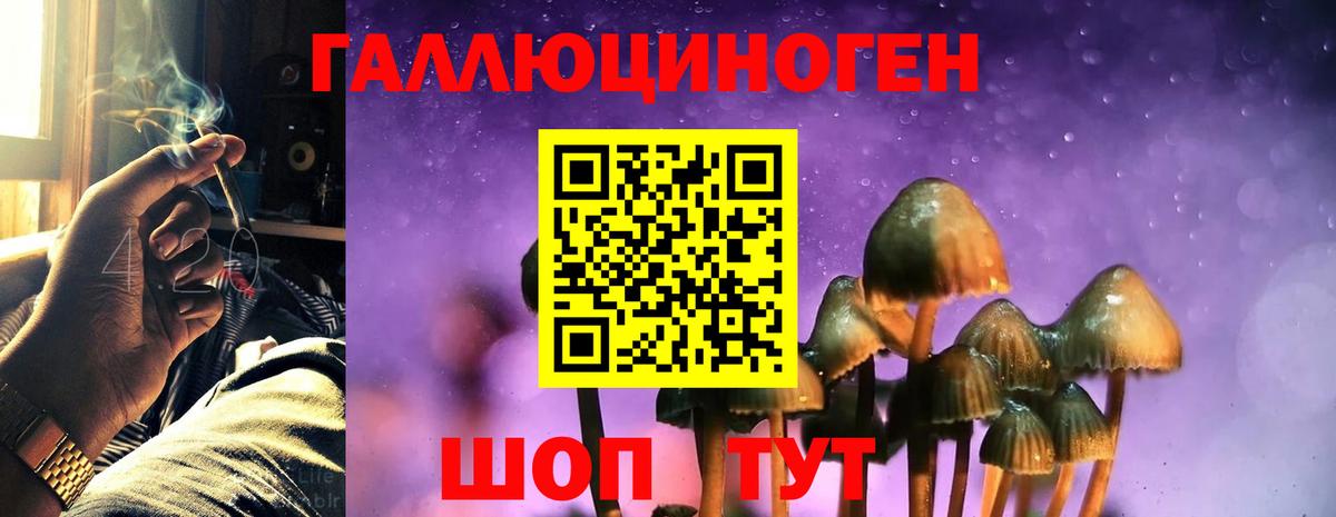 Усть-Джегута  Галлюциногенные грибы MAGIC MUSHROOMS  Вход с VPN 